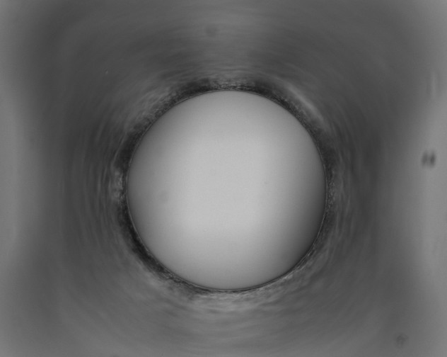 X0000090430025200708031140