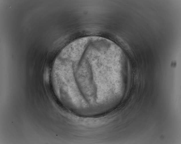X0000090430026200708031140