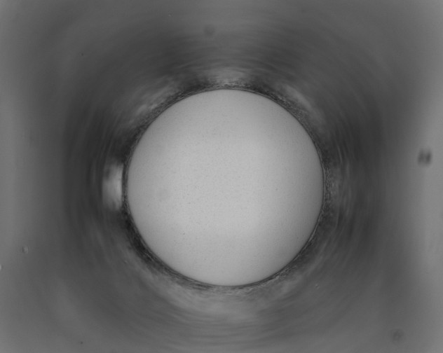 X0000090430028200708031140