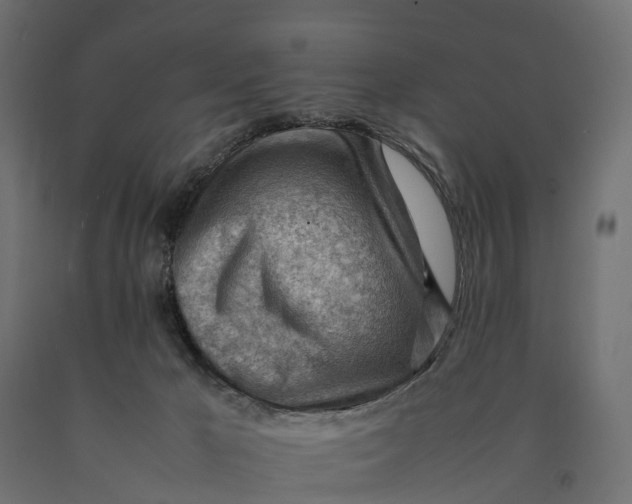 X0000090430029200708031140