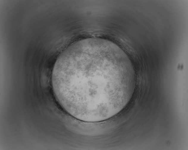 X0000090430030200708031140