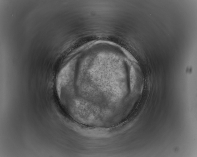 X0000090430032200708031140