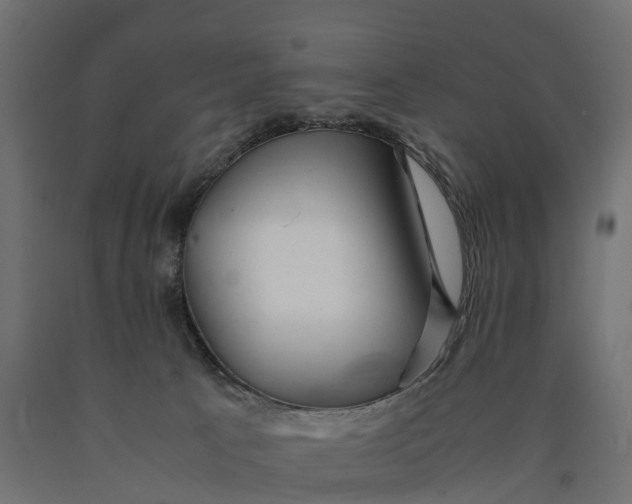 X0000090430033200708031140