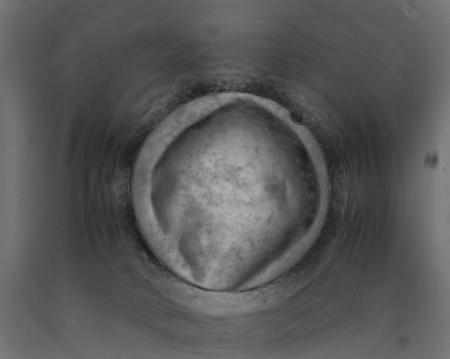 X0000090430034200708031140