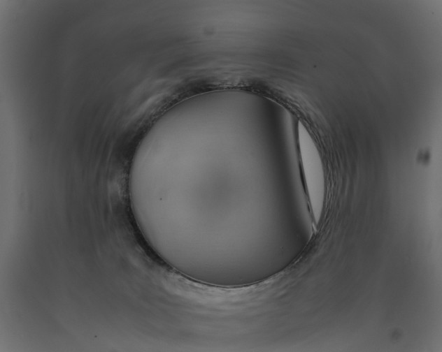 X0000090430035200708031140
