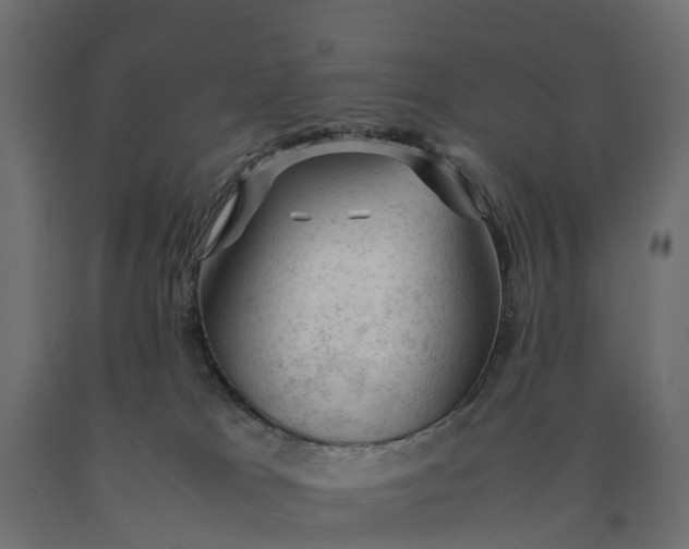X0000090430037200708031140