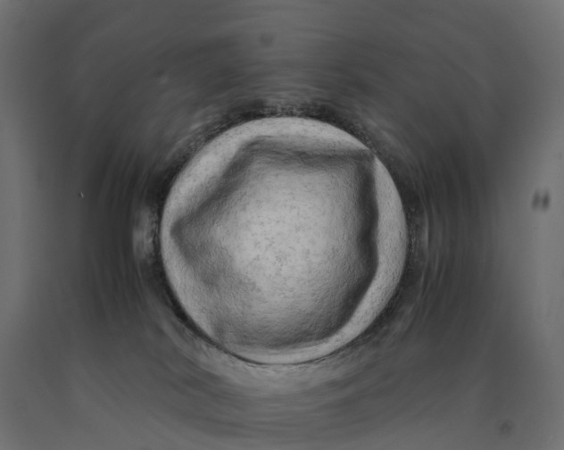 X0000090430038200708031140