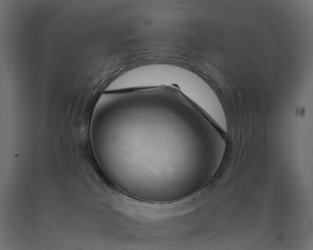 X0000090430039200708031140