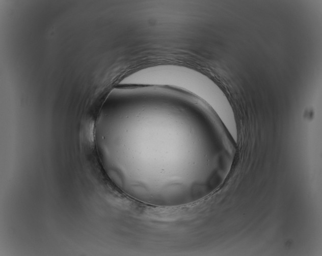 X0000090430041200708031140