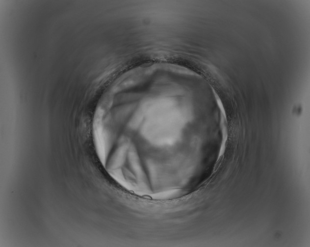 X0000090430043200708031140