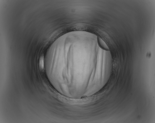 X0000090430046200708031140