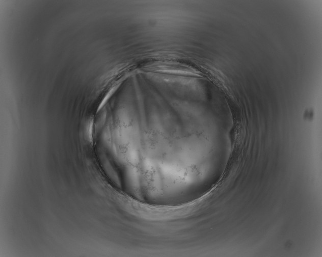 X0000090430047200708031140