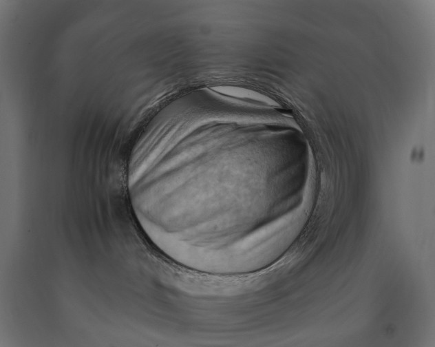 X0000090430048200708031140