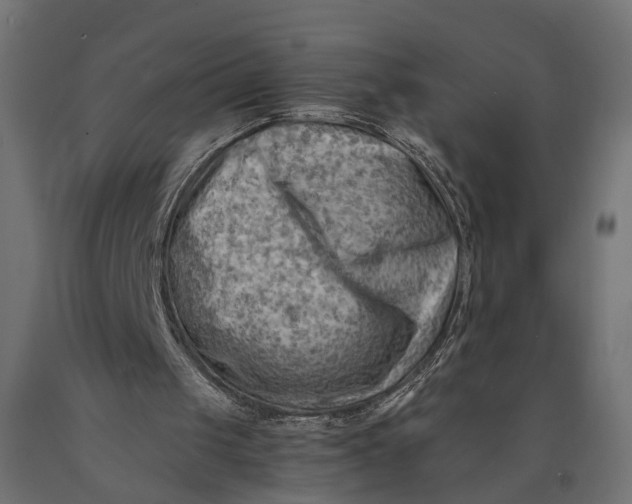 X0000090430049200708031139
