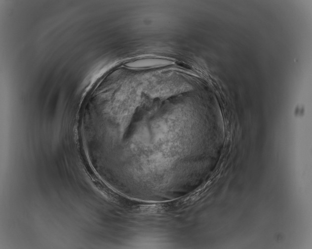 X0000090430050200708031139