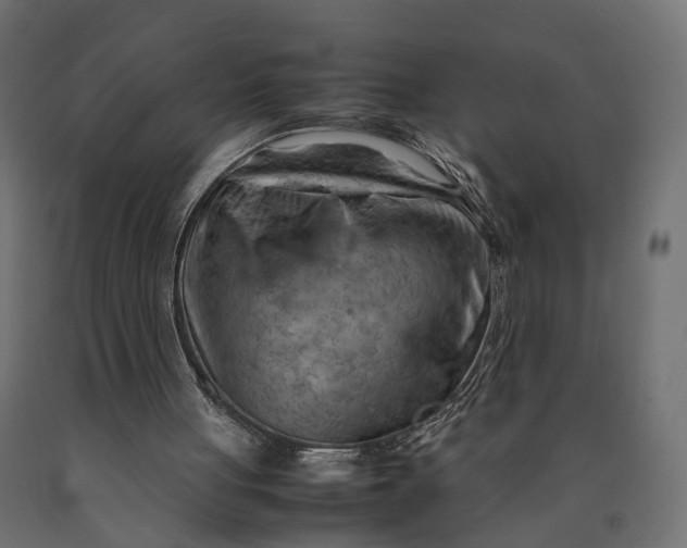 X0000090430051200708031139