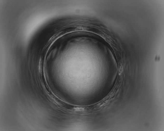 X0000090430052200708031139