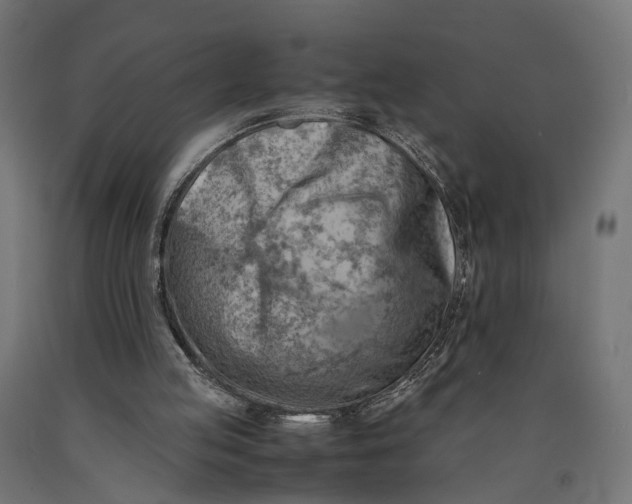 X0000090430053200708031139