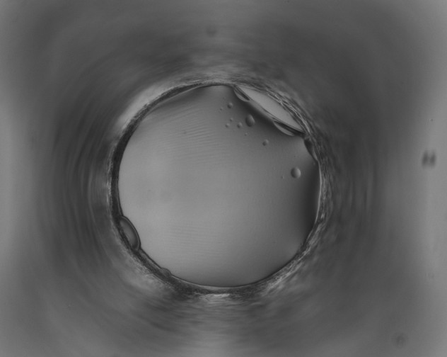 X0000090430054200708031139