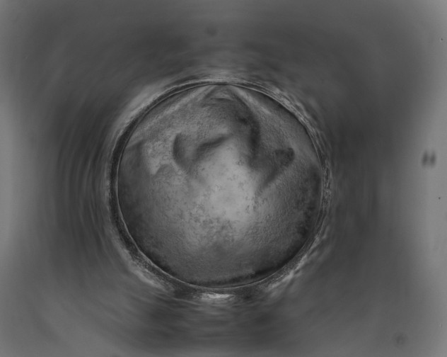 X0000090430055200708031139
