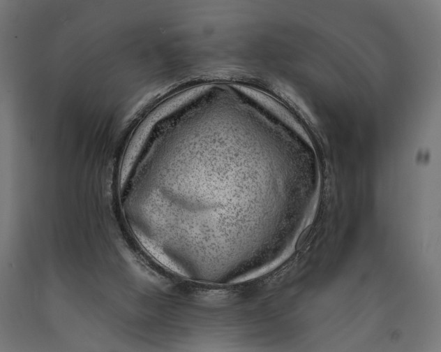 X0000090430058200708031139