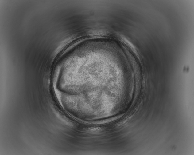 X0000090430059200708031139