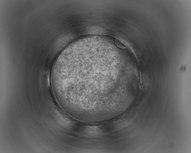 X0000090430061200708031139