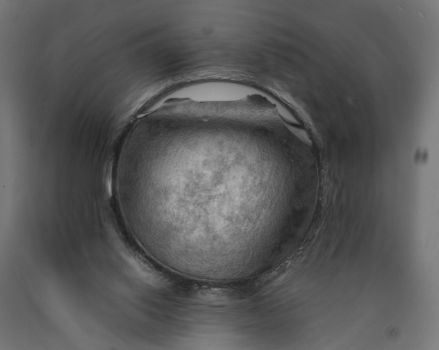 X0000090430062200708031139