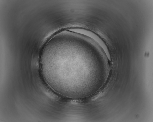 X0000090430064200708031139
