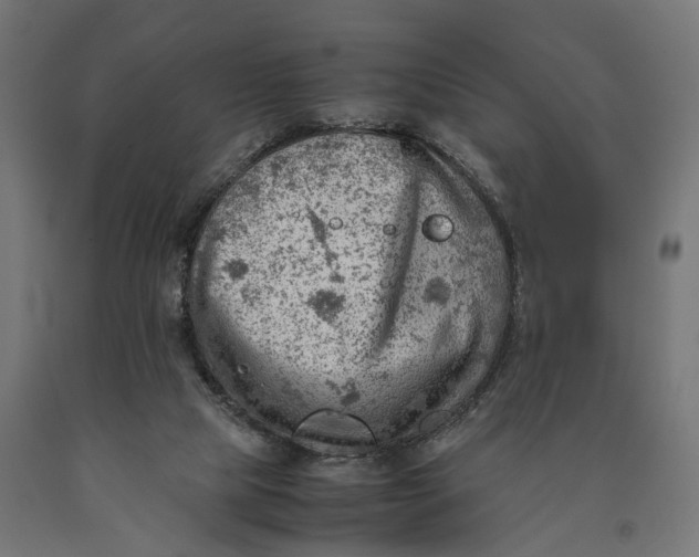 X0000090430065200708031139