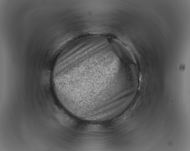 X0000090430066200708031139