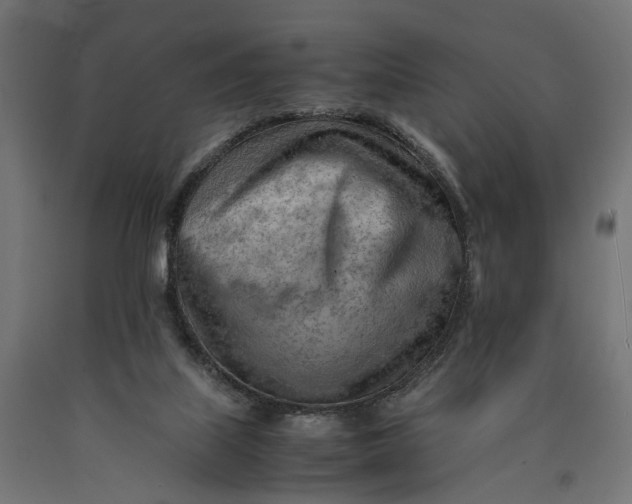 X0000090430067200708031139