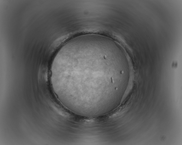 X0000090430068200708031139
