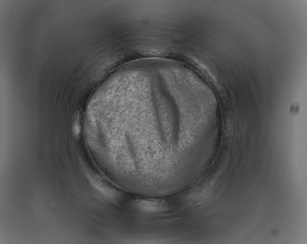 X0000090430069200708031139