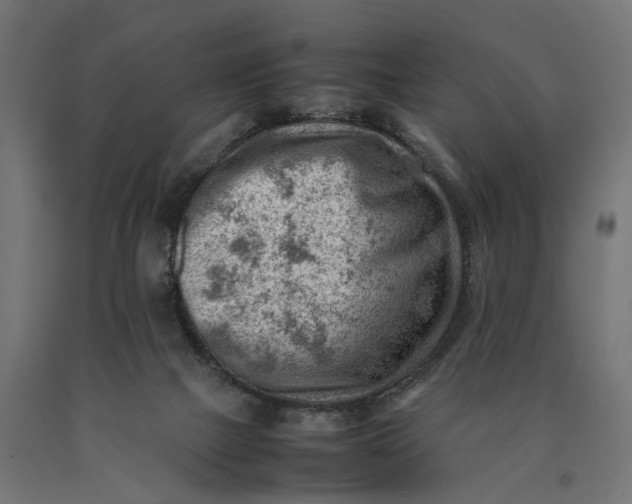 X0000090430073200708031139
