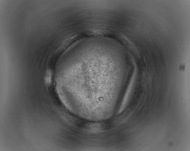 X0000090430075200708031139