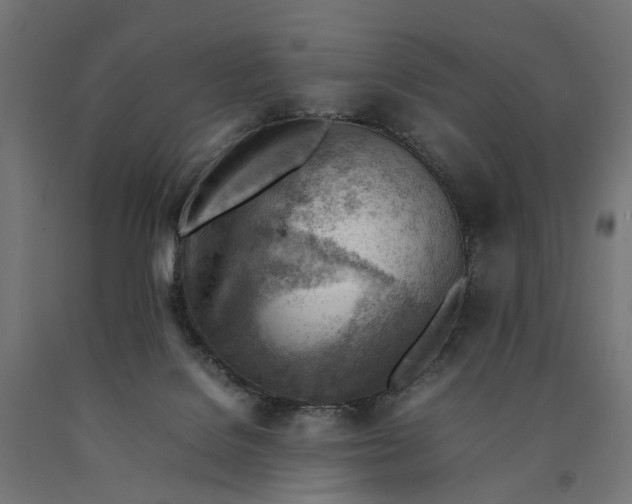 X0000090430076200708031139
