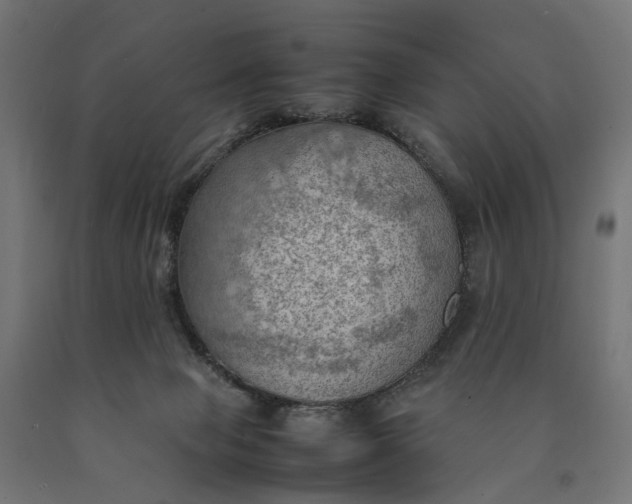 X0000090430077200708031139