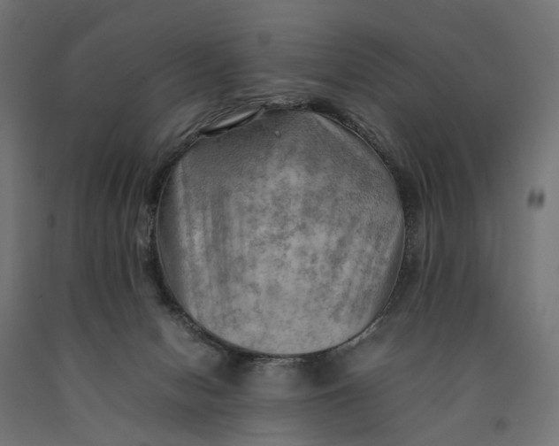 X0000090430078200708031139