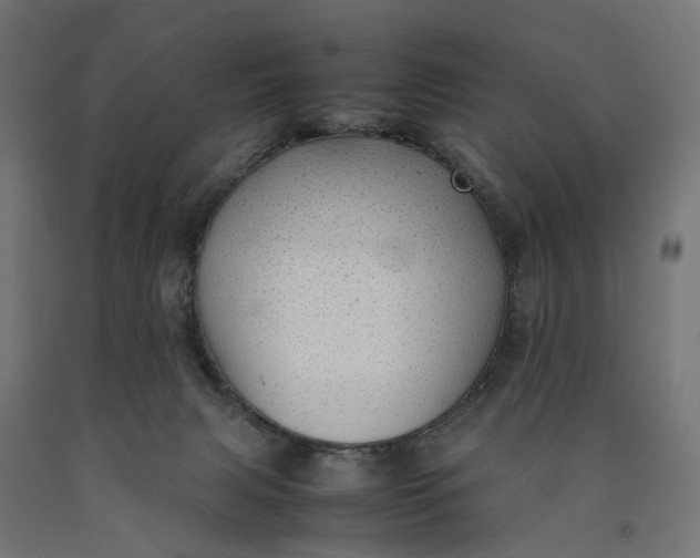 X0000090430079200708031139