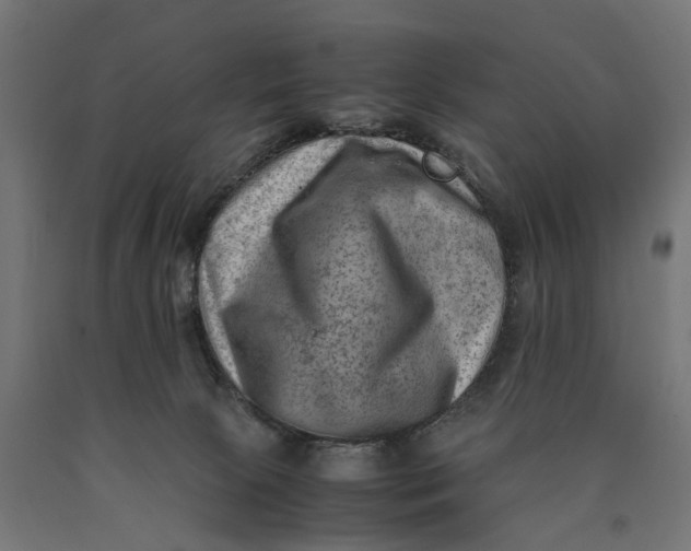 X0000090430081200708031140