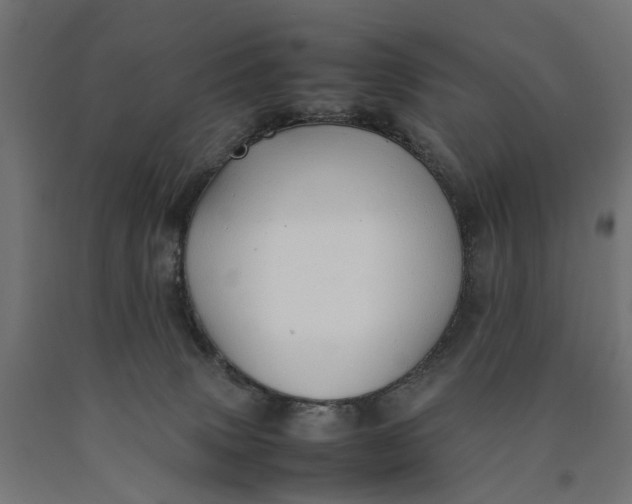 X0000090430083200708031140