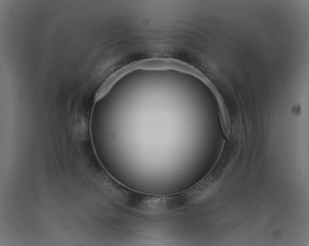 X0000090430084200708031140