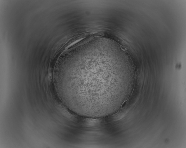 X0000090430085200708031140