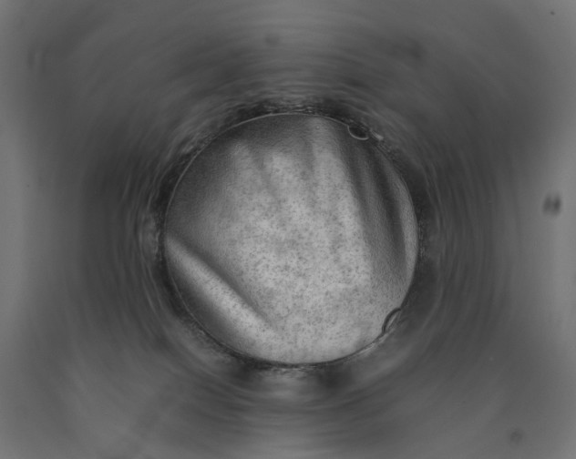 X0000090430086200708031140