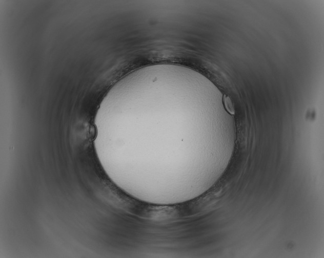 X0000090430087200708031140