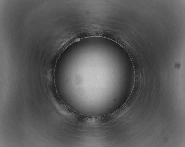 X0000090430088200708031140