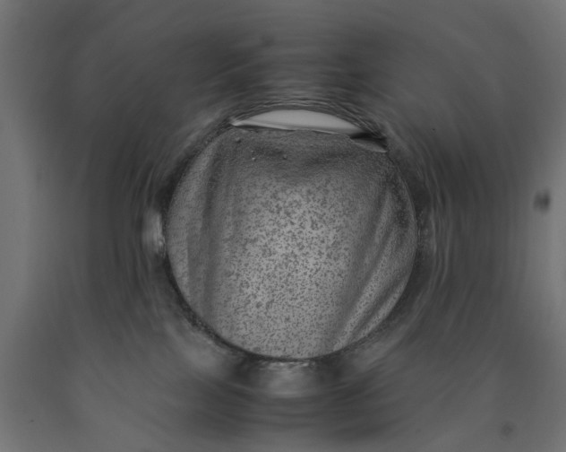 X0000090430089200708031140