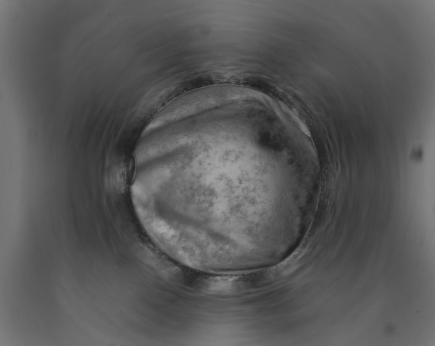 X0000090430090200708031140