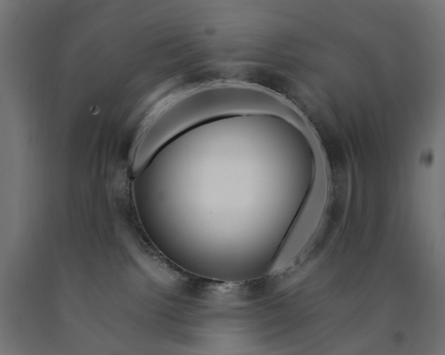 X0000090430092200708031140